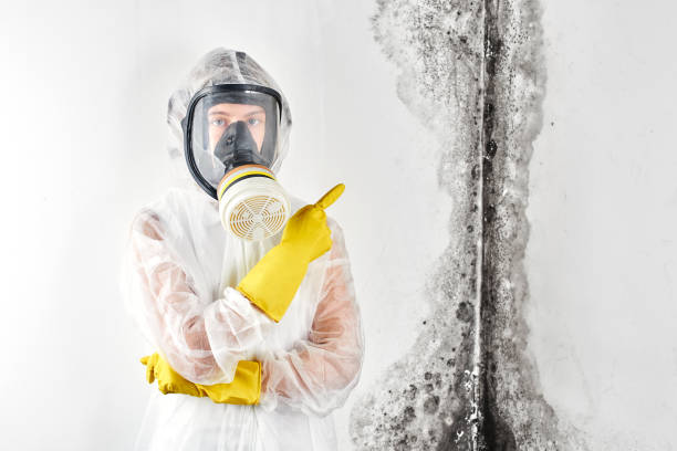 Best Ceiling water damage repair  in USA